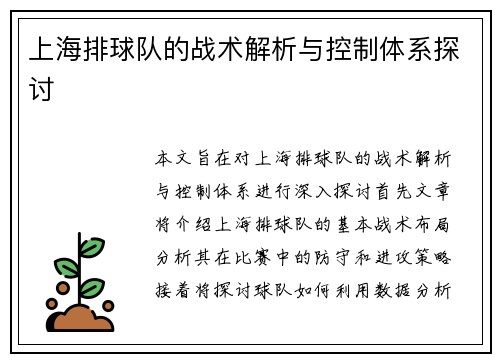 上海排球队的战术解析与控制体系探讨